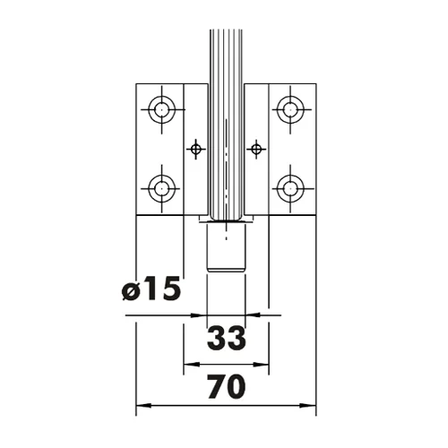CASMA 072 Transom/Jamb Patch with Pivot
