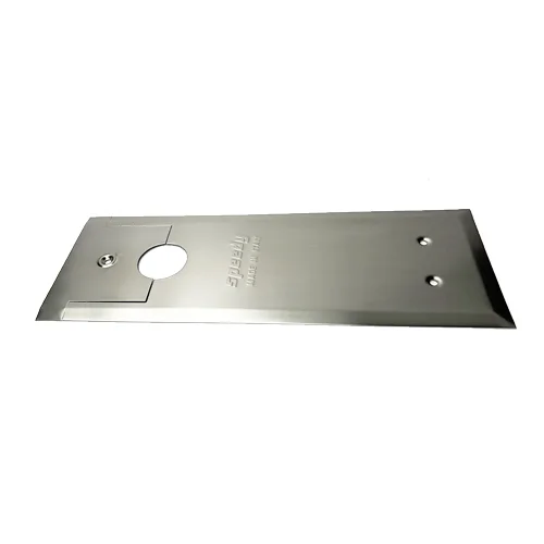 CASMA Speedy KS3000 Floor Closer Cover Plate